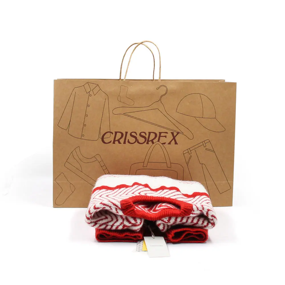 Plain Brown Kraft Paper Bag with Twisted String Handle (1)xdj