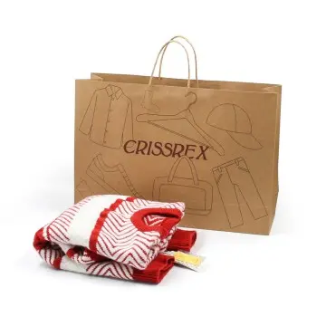 Plain Brown Kraft Paper Bag with Twisted String Handle